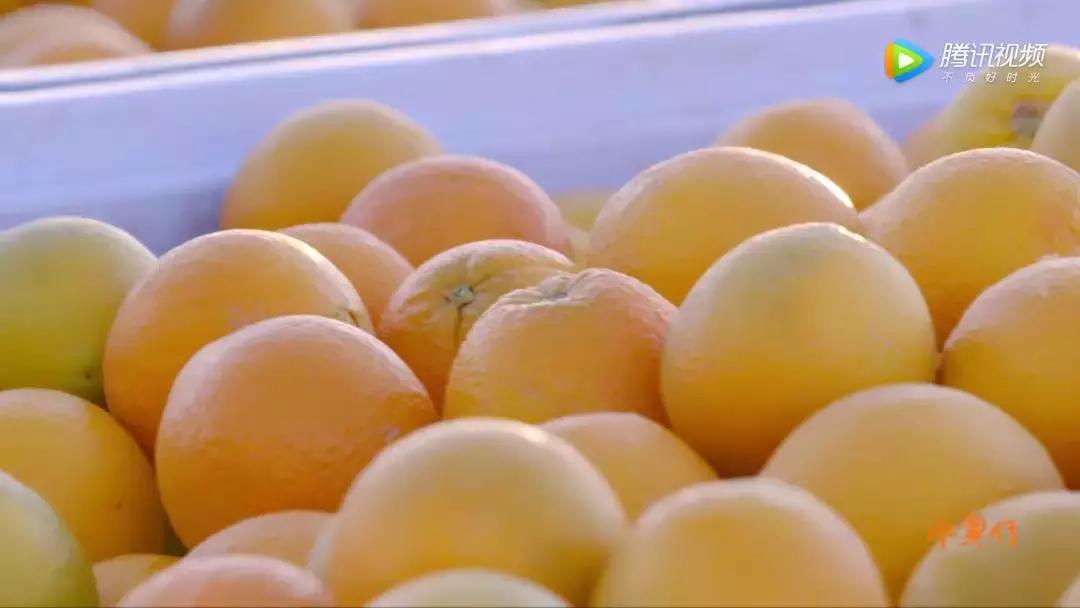 一部看完就想去买水果的纪录片，一次过见识50个城市的奇珍异果！