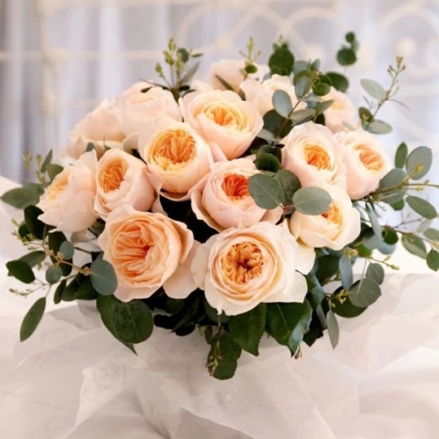 如何养花店买的玫瑰花,如何能养出和花店一样的玫瑰花