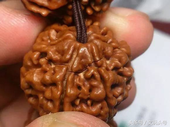 金刚菩提手串为什么会开裂,金刚开裂都是哪里开裂