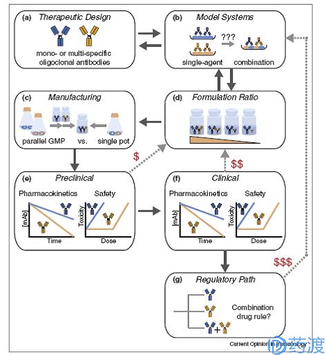 浅谈IVIG、NaturalAutoantibody和Oligoclonal