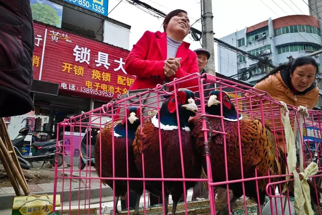 附近卖智能锁的地方有哪些呢,智能锁小区营销