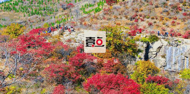 警惕高额利息,警惕高额返利骗局