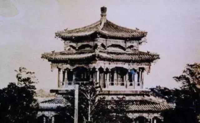 相信我，这一定是朋友圈里最珍贵的照片！