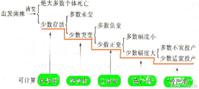 ivd专业知识,ivd相关知识