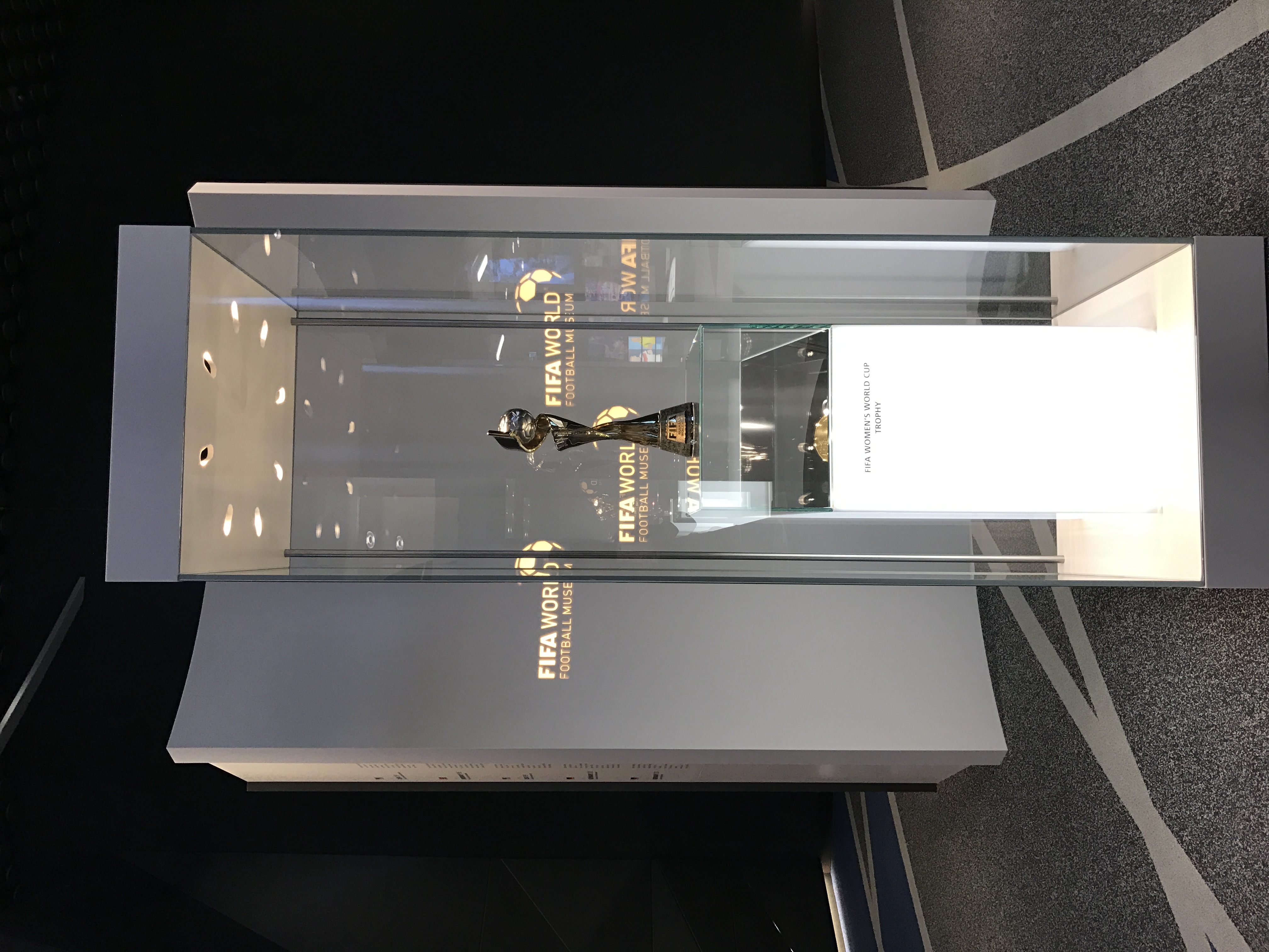 fifa足球世界世界杯同行者攻略,fifa足球世界欧洲杯巡礼