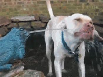 健身的人为什么容易疲劳,健身的人非常饿