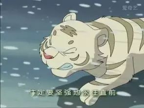 十部适合父母孩子一起观赏的电影,陪孩子一起看的100部电影