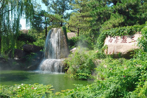 天津适合春游的公园,踏着欢快的脚步