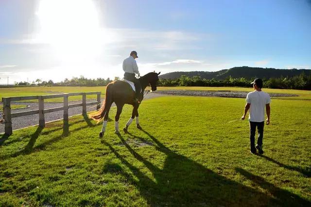 石象湖踏青,蒲江石象湖门票价格多少