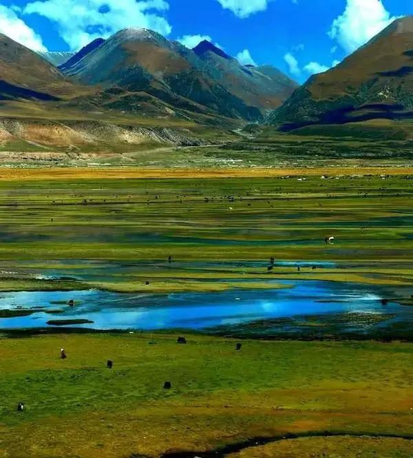 12月西藏最美旅行地排行,背包旅行西藏最美旅行时间表