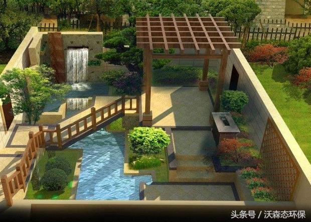 花架庭院藤蔓植物,花架藤蔓植物