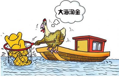 新手如何看股市图,股市行情从哪里找