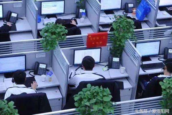 难以置信!洛阳平均工资6664元?竟然比郑州还高?