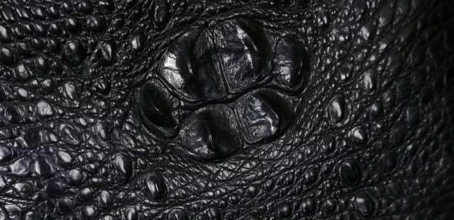 怎样辨别鳄鱼皮具,鳄鱼皮具最新视频