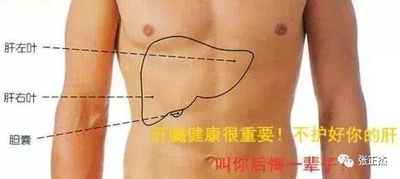 肝脏受损脸色发黑怎么调理,肝是哑巴养肝护肝的禁忌你知道吗