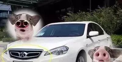 世界上最丑的车标标志,全球最美十大车标