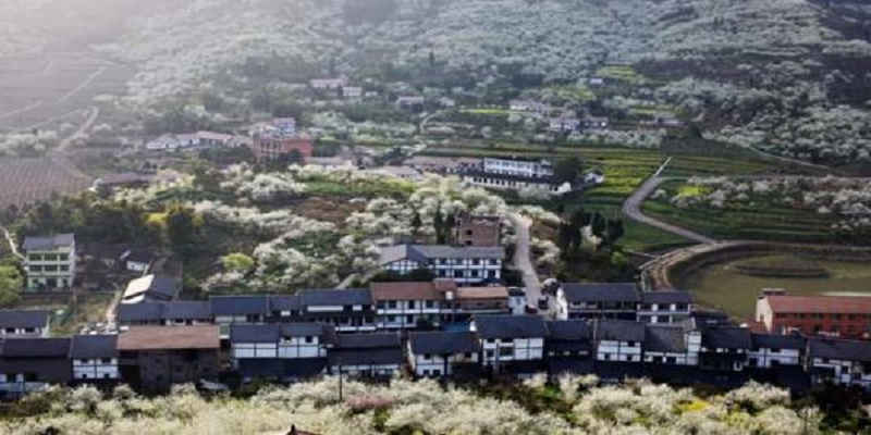 海南省乡村旅游发展现状与策略,海南发展旅游业的有利条件