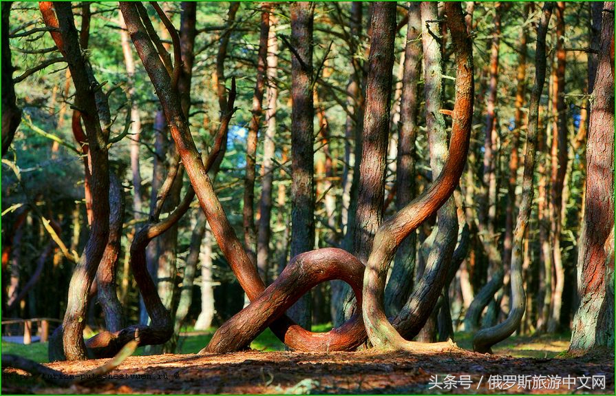 俄罗斯遗产目录大全,格鲁吉亚世界遗产名录