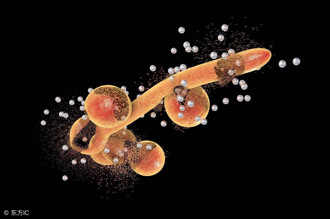 生殖器念珠菌病的临床症状是什么,患生殖器念珠菌病怎么办