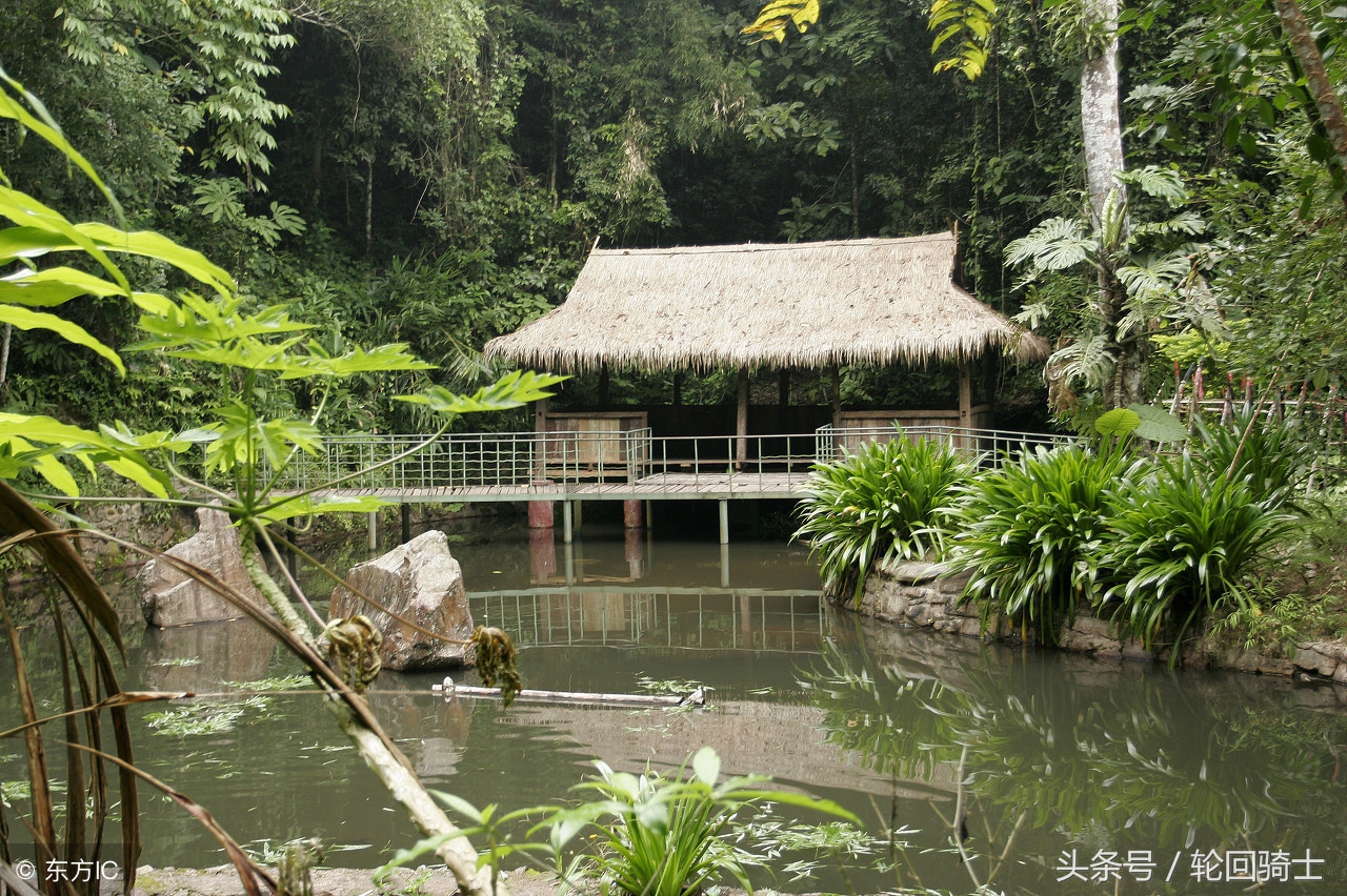 办公室风水简单易懂的招财法,办公室招财风水6大妙招