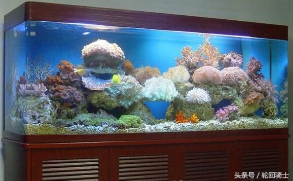 办公室风水的布局知识,2018办公室风水知识大全