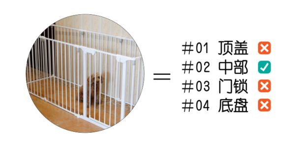 怎样挑选最好的狗窝,怎么挑选便宜又好的狗窝