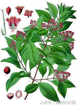 中国和美国的蜜月,中国和美国的蜜月时期