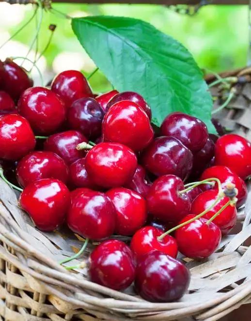 三月是吃什么水果的季节,各种水果在哪个时间段吃最好