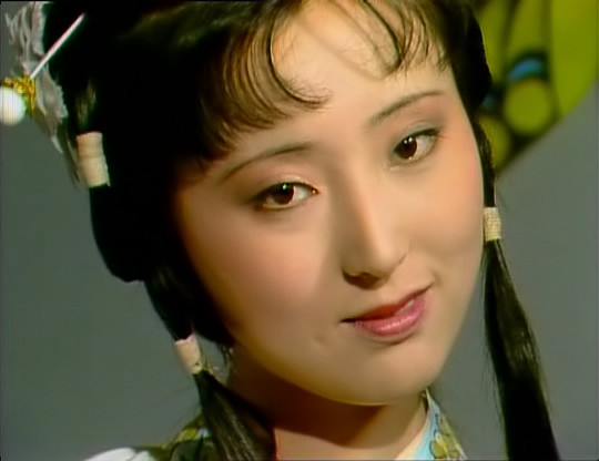 赖晓伟讲述,30：百年红学*局骗**，曹雪芹根本不是红楼梦作者（中）