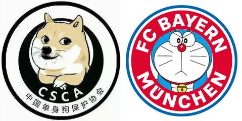 荣膺全场最佳?胖橘带你盘点那些闯入球场的猫猫狗狗