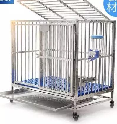 狗窝趣事,农村防寒狗窝