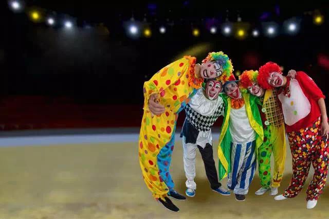 想投食小白虎、赏国际马戏？你有时间，小编有票，周末灵玲走起