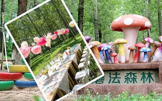 田园模式休闲农庄,休闲农业与休闲农庄的关系