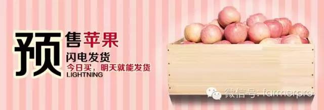 农产品如何微信裂变推广,农产品如何做线下推广方案