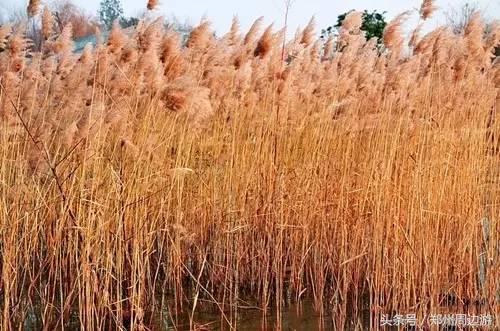 郑州人真正的后花园,郑州人少环境好的地方