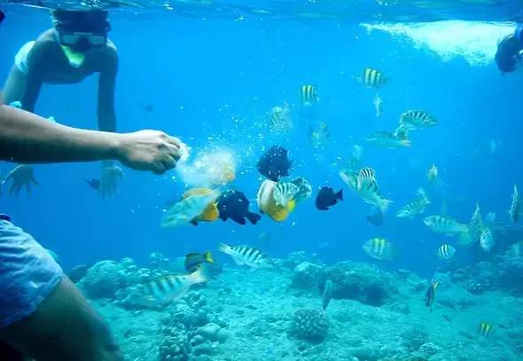 菲律宾宿务旅游攻略,菲律宾宿雾海岛之旅