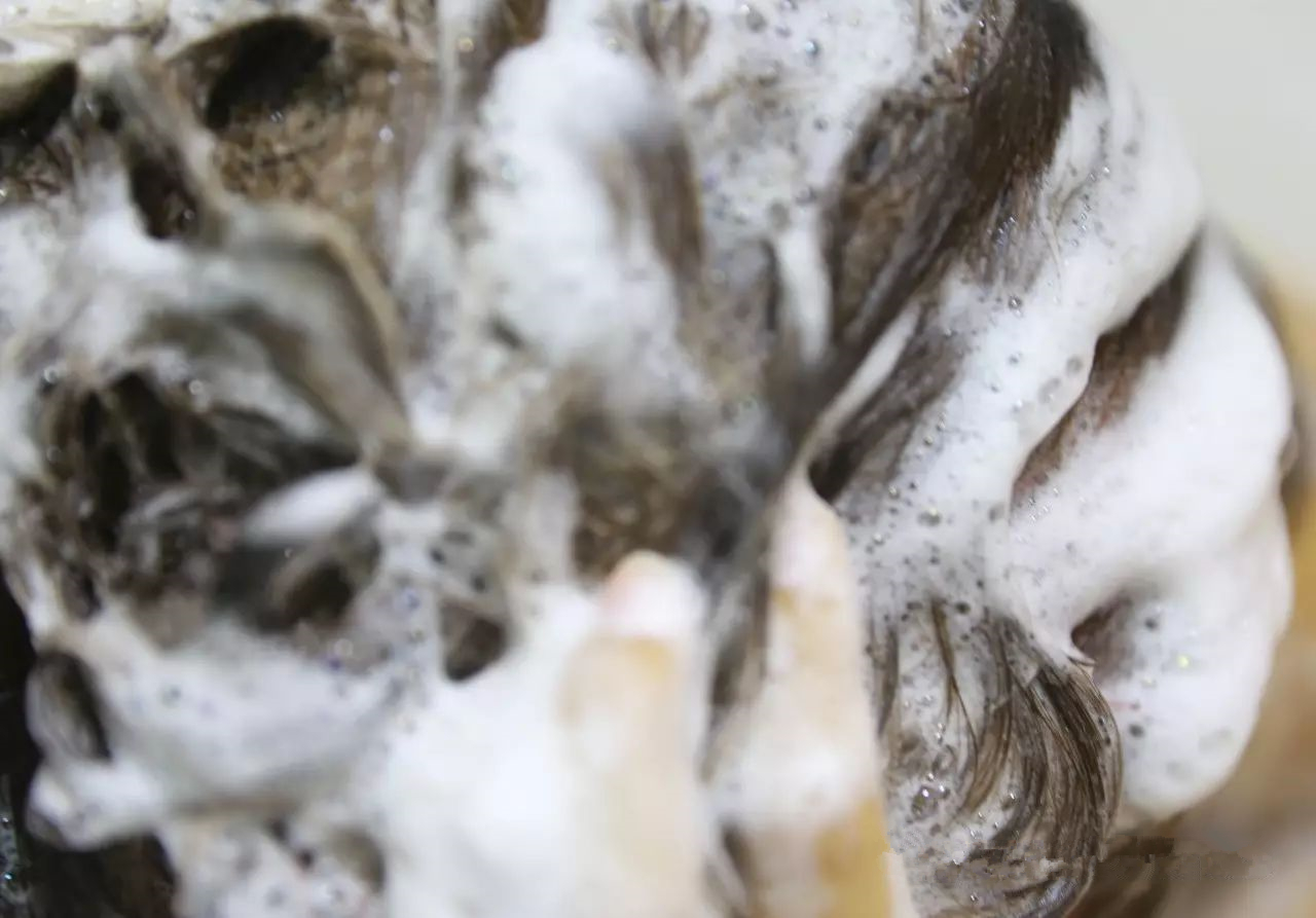 从怀孕就开始脱发产后还是脱发,从怀孕到现在第一次剪发