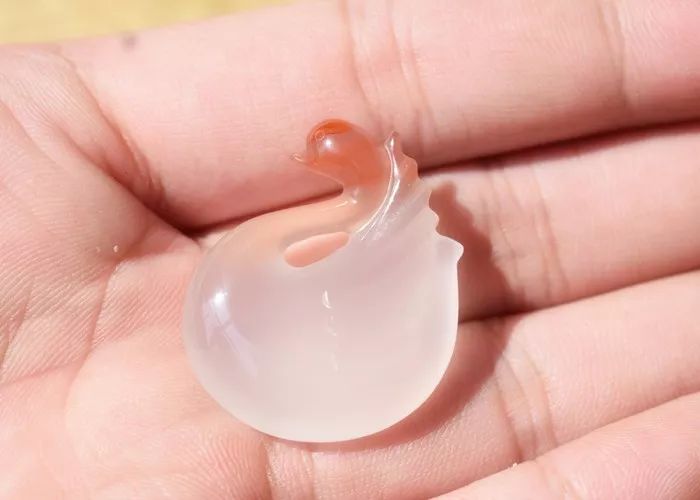 这样的*局骗**一直在我们身边