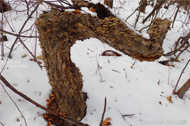 本溪关门山徒步攻略,边走边拍风景视频素材