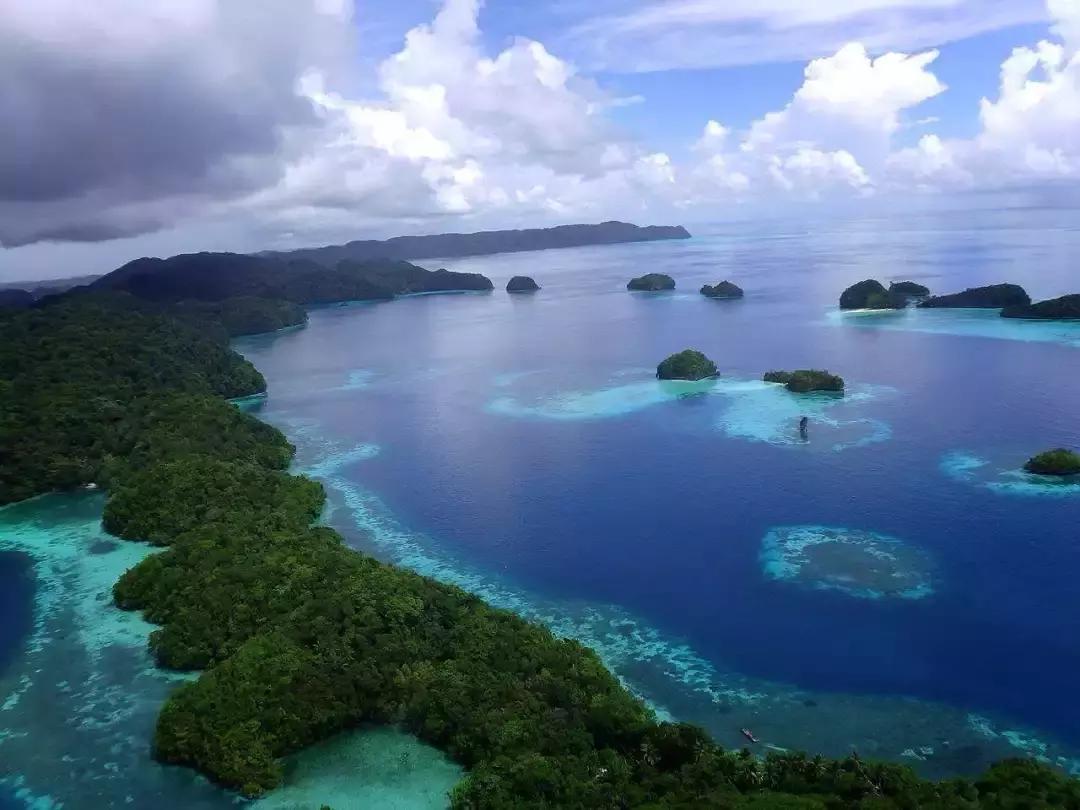 帕劳岛自由潜水 (帕劳潜水视频观看鱼群风暴)