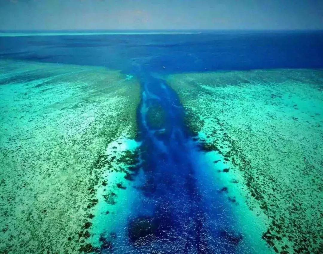 帕劳岛自由潜水 (帕劳潜水视频观看鱼群风暴)