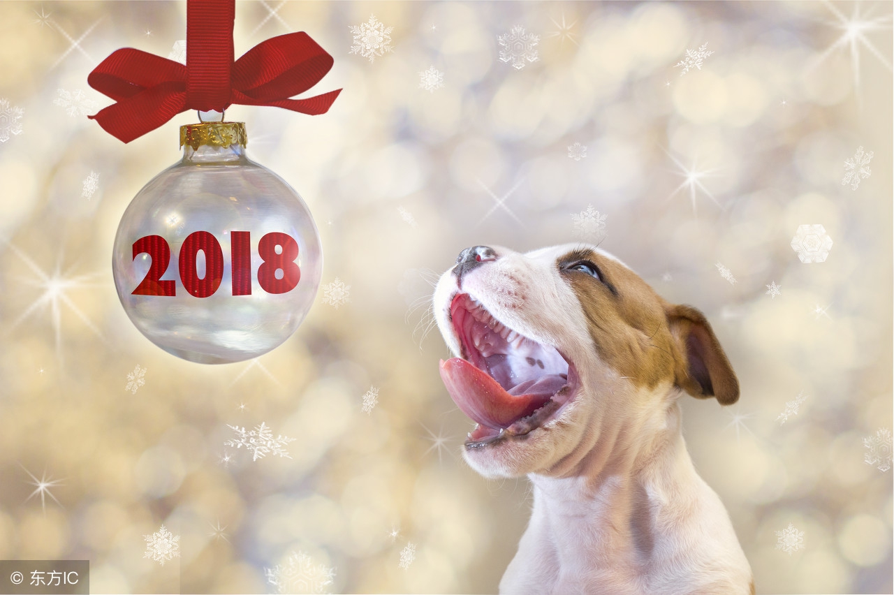 狗年宝宝名字寓意好的字,狗年宝宝取名吉祥名字男孩