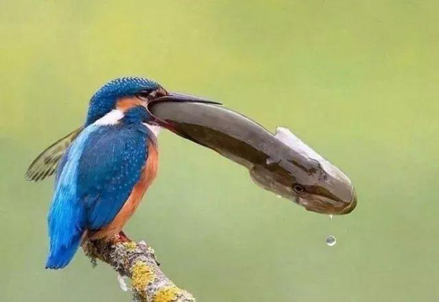 作业写不完的办法,老师布置作业太多写不完怎么办