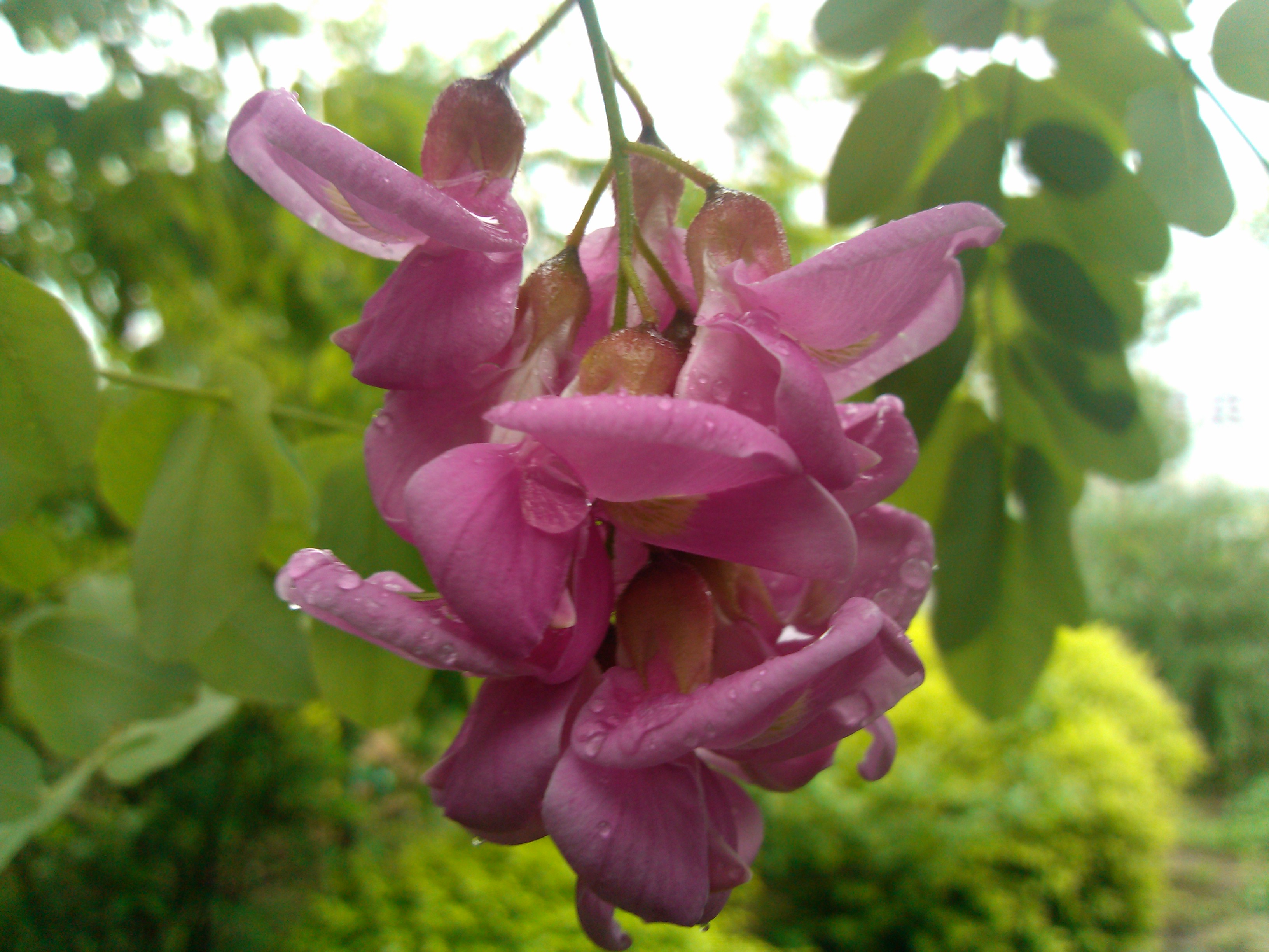 淋雨的感觉真的很好,淋雨的感觉幽默说说