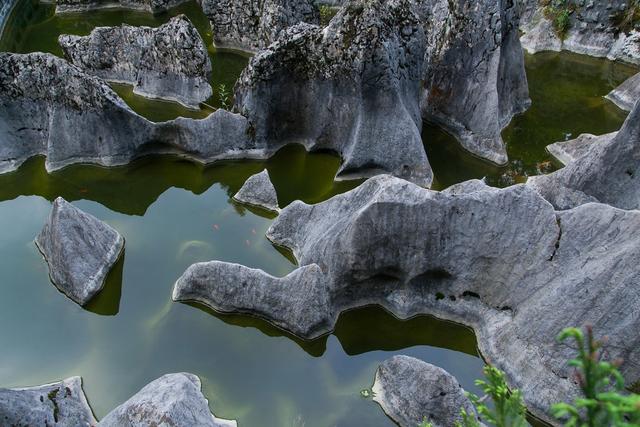 广安华蓥瀑布景区,四川华蓥山石林