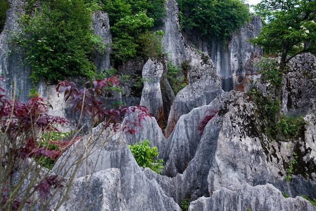 广安华蓥瀑布景区,四川华蓥山石林