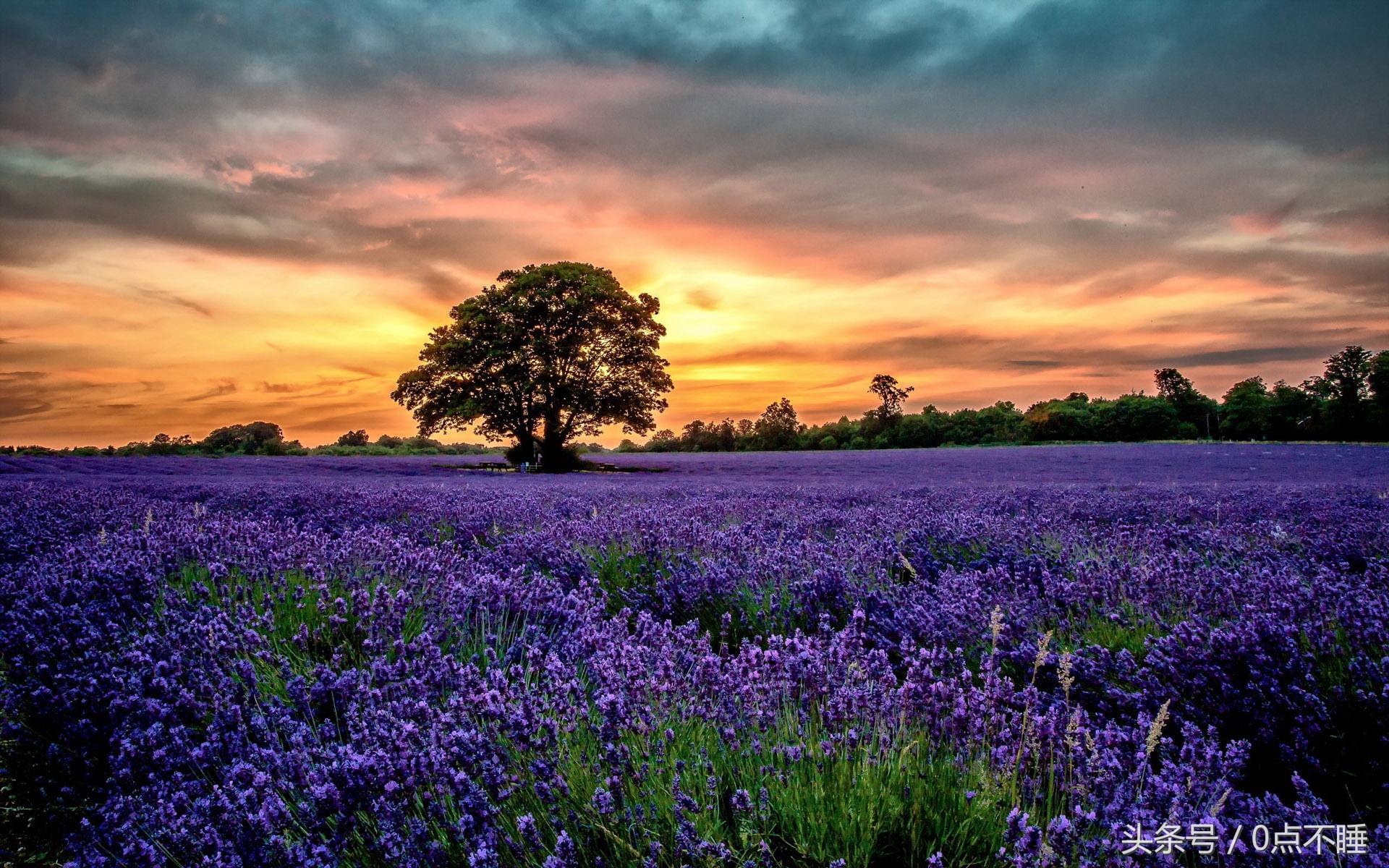 曾经参加过高考的你有什么感悟,熬过高考的感受