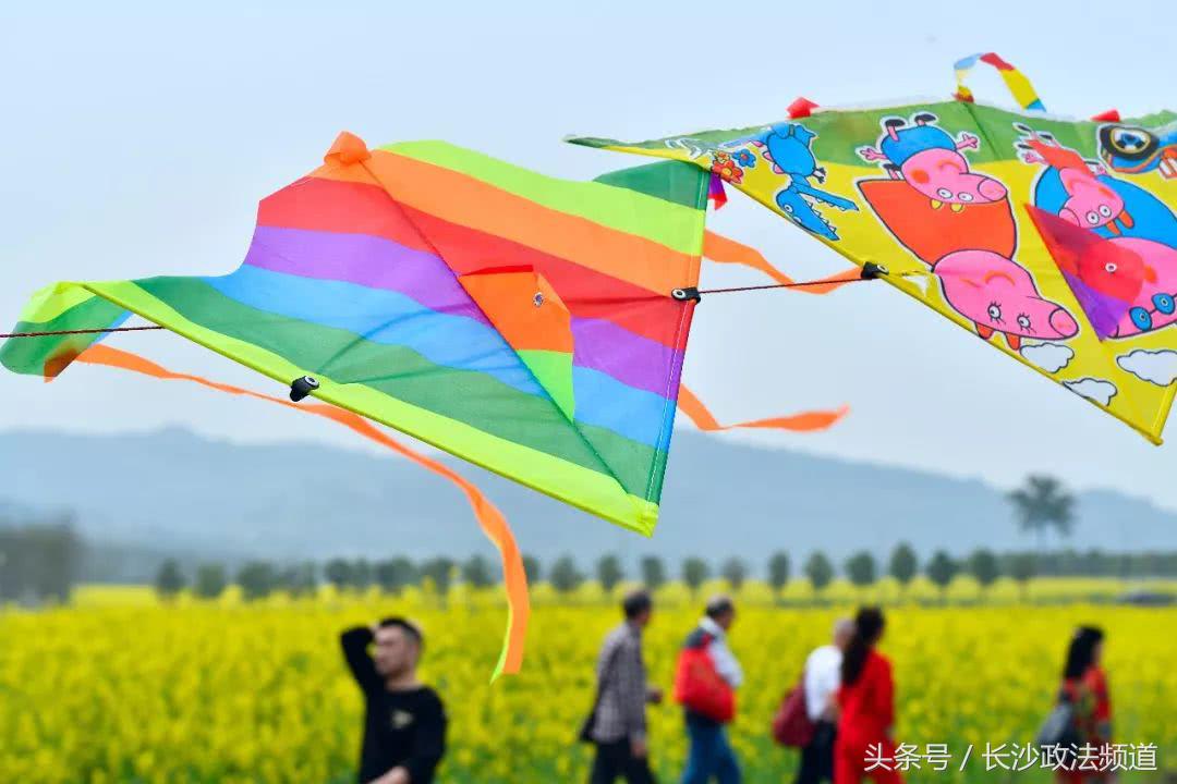 最近在家或外出都要小心它！一周内已有多人中招进了医院