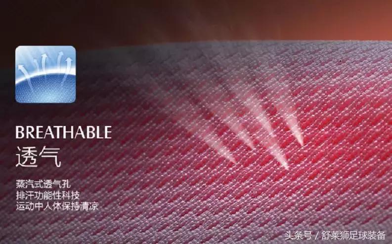 舒莱狮足球服,舒莱狮足球训练服套装