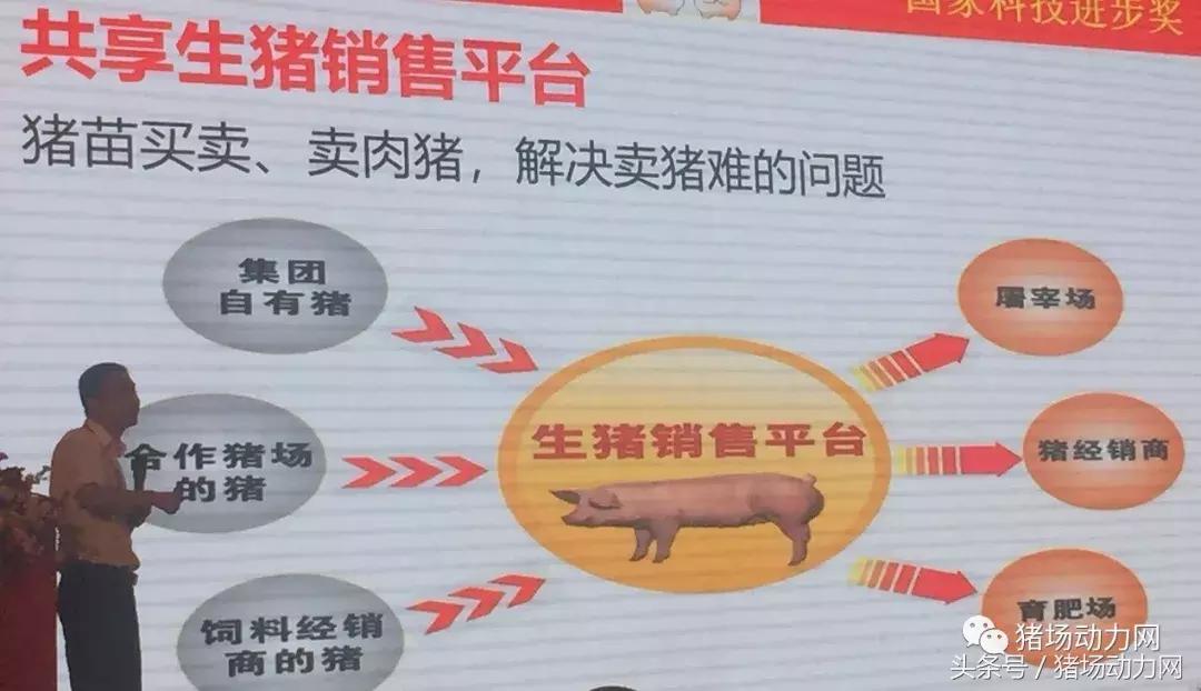 双胞胎饲料产能,双胞胎饲料销量